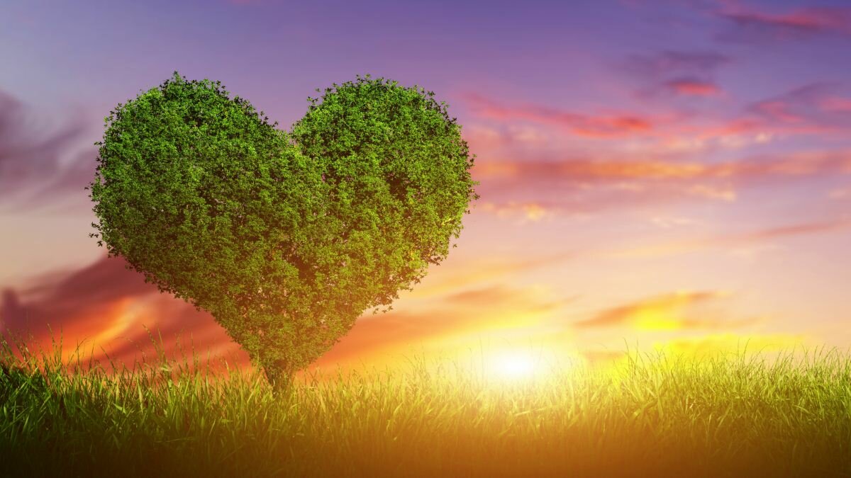 Ассоциативный тест на любовь: Дерево любви