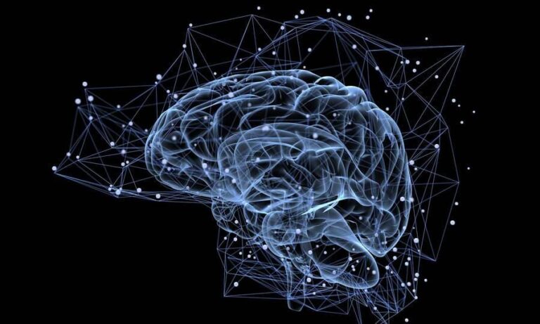 Феномен зеркальных нейронов: почему мы перенимаем эмоции и поведение других